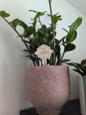 Cute & Funny Indoor Plant Quote Tags 4 pcs 🏷️ NWT